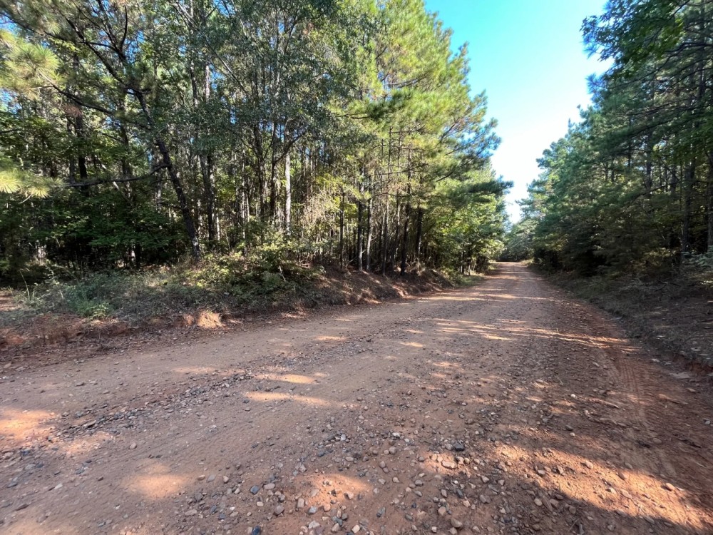 6.2 Acres in Bienville Parish LA featured image