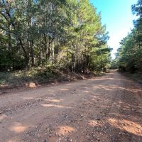 6.2 Acres in Bienville Parish LA