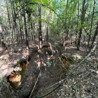 6.2 Acres in Bienville Parish LA images 5