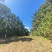 26 acres- Mature Timber- Salem School District images 5