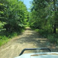 JOSLIN VALLEY Tract C images 3