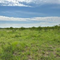 Price Improvement 10.5 Acres Tract 11 Shackelford County images 2