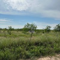 Price Improvement 10.5 Acres Tract 11 Shackelford County images 4