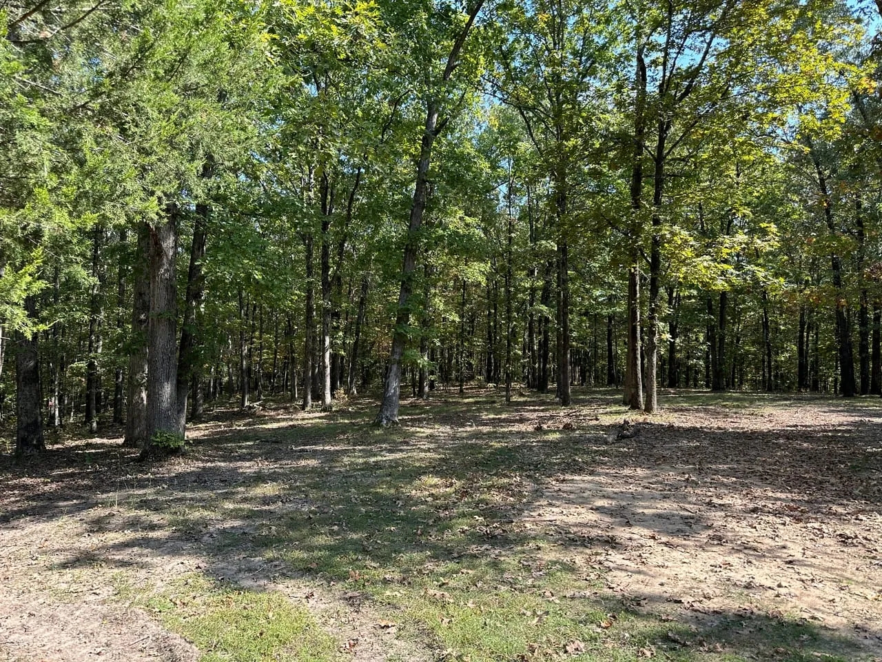 101 Acres Hunting Land Old Mobile Wooded Sharp County Sidney Arkansas