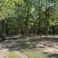 101 - Acres Hunting Land Old Mobile Wooded Sharp County Sidney Arkansas