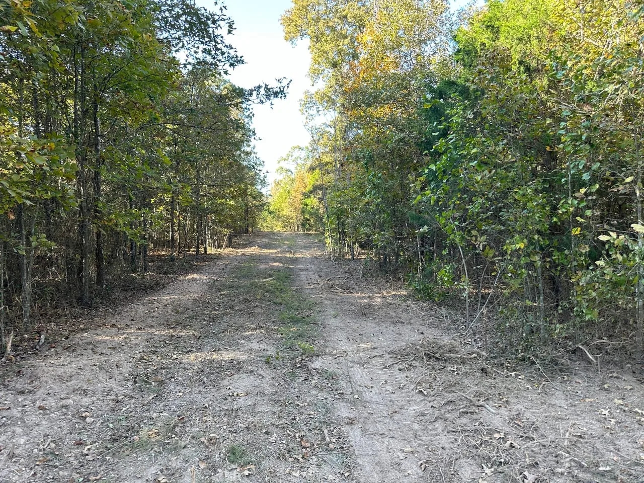 101 Acres Hunting Land Old Mobile Wooded Sharp County Sidney Arkansas