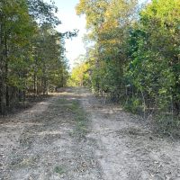 101 - Acres Hunting Land Old Mobile Wooded Sharp County Sidney Arkansas images 2