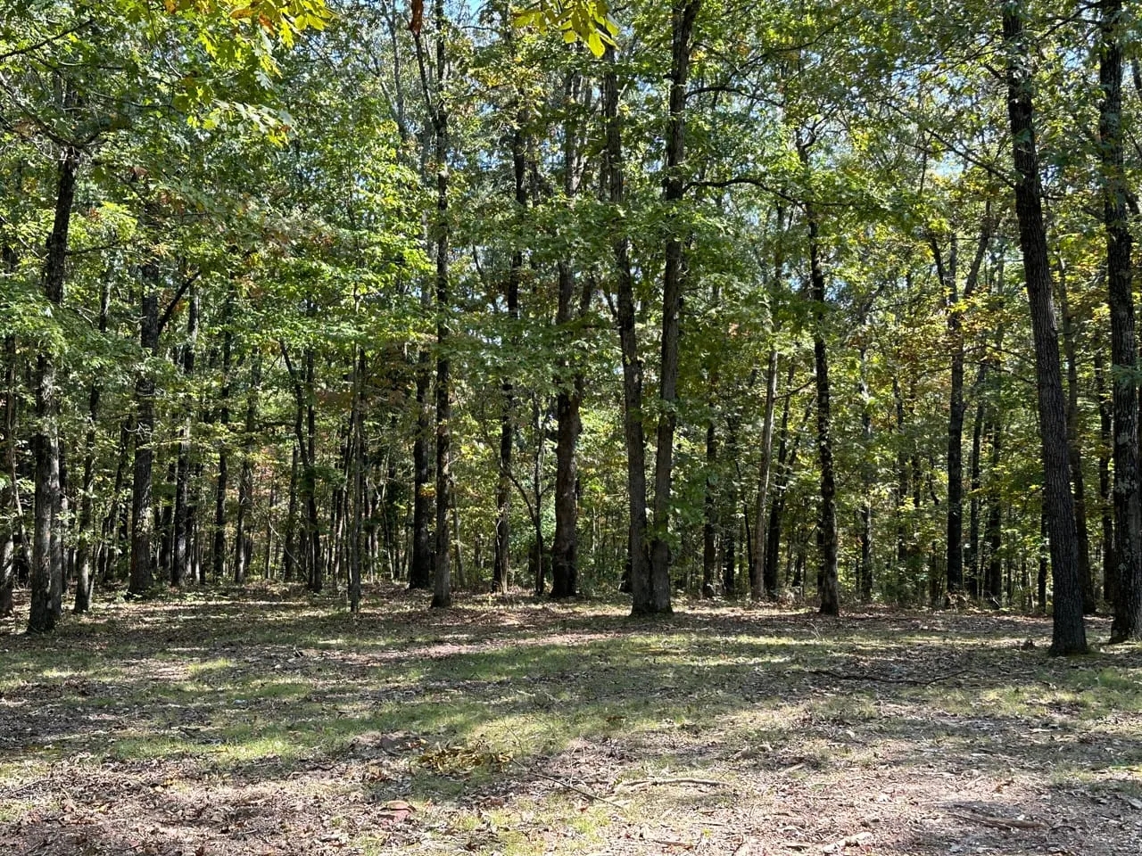 101 Acres Hunting Land Old Mobile Wooded Sharp County Sidney Arkansas