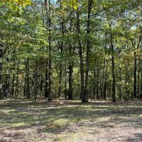 101 - Acres Hunting Land Old Mobile Wooded Sharp County Sidney Arkansas images 3