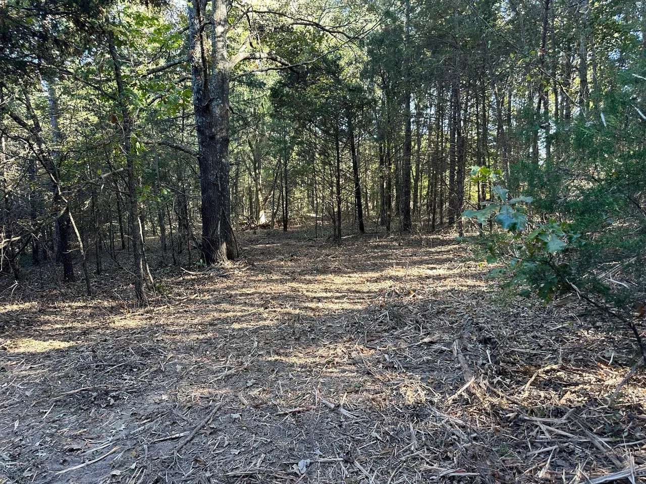 101 Acres Hunting Land Old Mobile Wooded Sharp County Sidney Arkansas