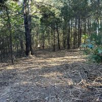 101 - Acres Hunting Land Old Mobile Wooded Sharp County Sidney Arkansas images 4