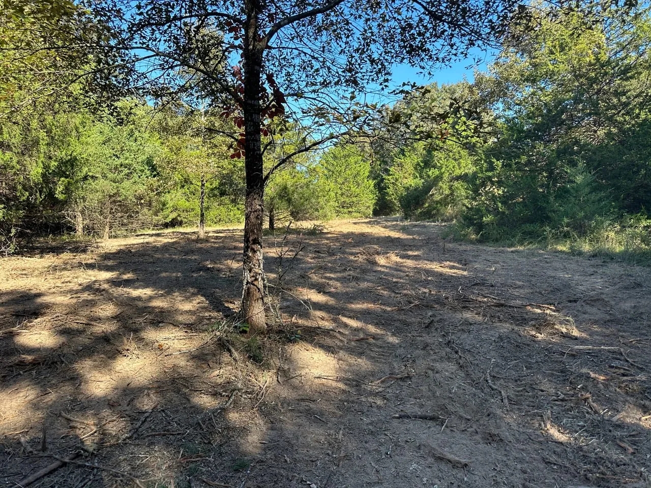 101 Acres Hunting Land Old Mobile Wooded Sharp County Sidney Arkansas