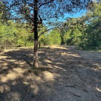 101 - Acres Hunting Land Old Mobile Wooded Sharp County Sidney Arkansas images 5