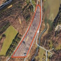 17 acres Wooded Hunting Land and Building Lot in Bath NY Harrison Road images 2