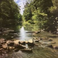 285 AC LITTLE RIVER RANCH HUNTING PRESERVE images 5