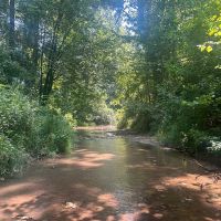 100 Acres with a Home in Lafayette County MS images 2