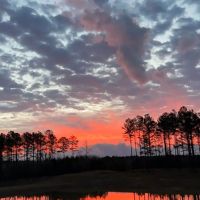 100 Acres with a Home in Lafayette County MS images 3