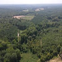 100 Acres with a Home in Lafayette County MS images 5