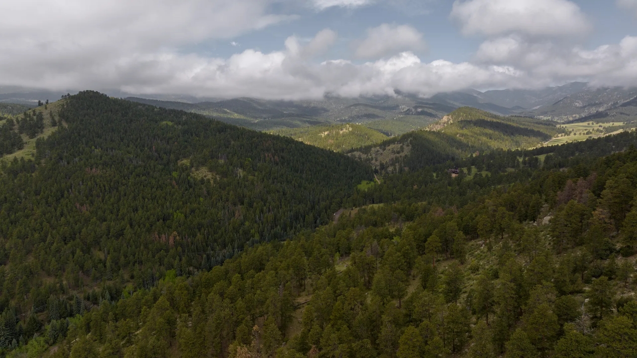 Vance Creek Ranch Hunting Land for Sale