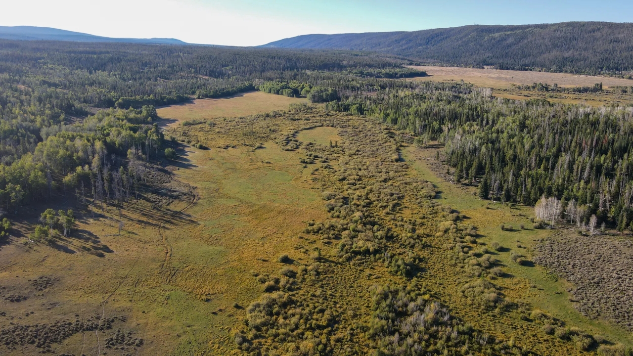 FIVE POINTS RANCH Hunting Land for Sale