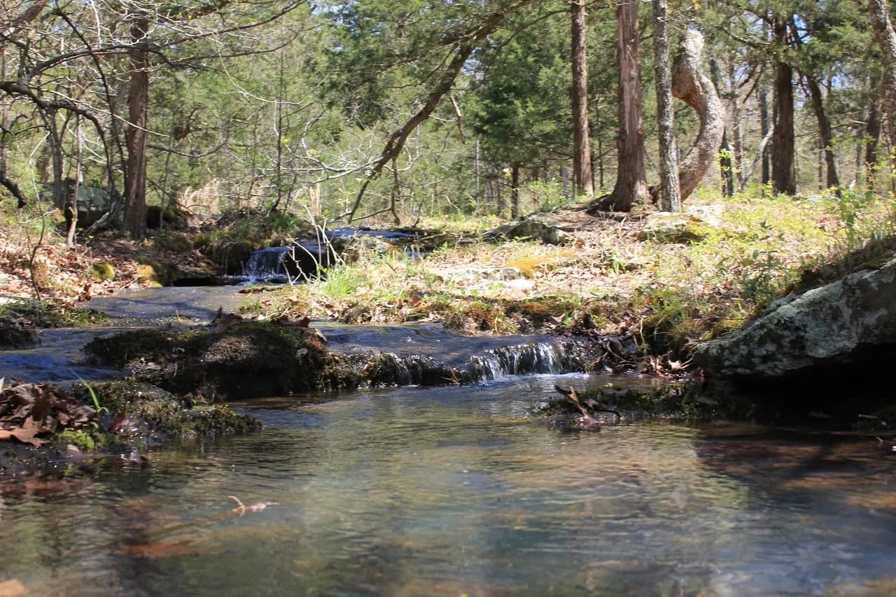 The Mountain at Homesteader s Spring Hunting Land for Sale