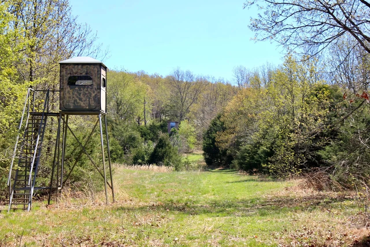 The Mountain at Homesteader s Spring Hunting Land for Sale