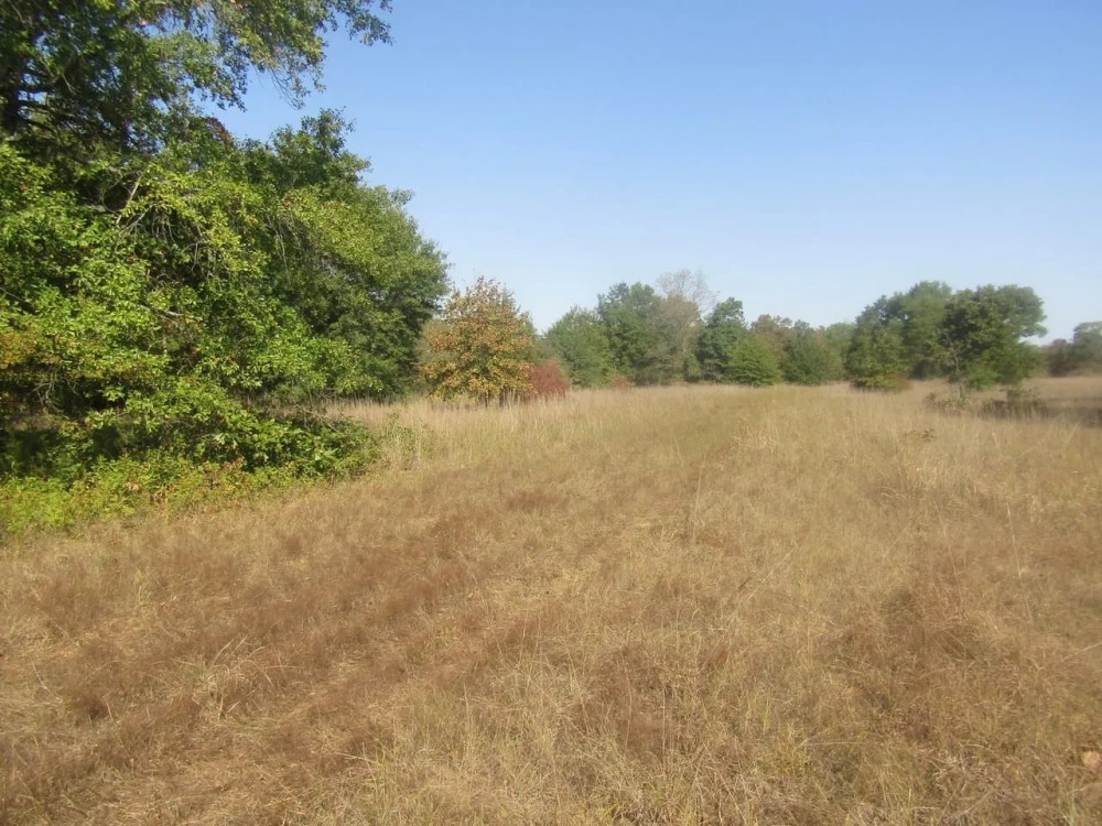 Prime Hidden Recreational Treasure Boswell Choctaw County OK 120 AC featured image