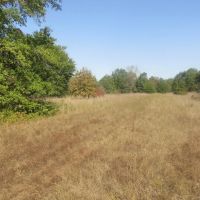 Prime Hidden Recreational Treasure Boswell Choctaw County OK 120 AC
