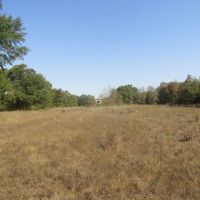 Prime Hidden Recreational Treasure Boswell Choctaw County OK 120 AC images 2