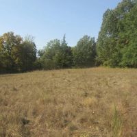 Prime Hidden Recreational Treasure Boswell Choctaw County OK 120 AC images 3