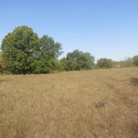 Prime Hidden Recreational Treasure Boswell Choctaw County OK 120 AC images 4