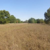 Prime Hidden Recreational Treasure Boswell Choctaw County OK 120 AC images 5