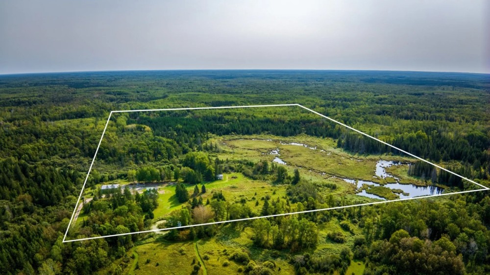 60 Acres of Hunting Land with Cabin in Itasca County MN featured image