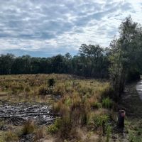 Lamkin Road Tract Jackson Parish 145 Acres - images 3