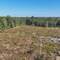 Lamkin Road Tract Jackson Parish 145 Acres - images 4