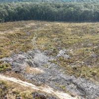 Lamkin Road Tract Jackson Parish 145 Acres - images 5