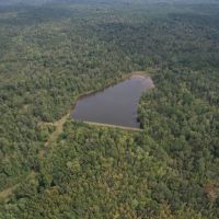 634 Acres in Montgomery County MS with a Lodge images 3