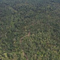 634 Acres in Montgomery County MS with a Lodge images 5