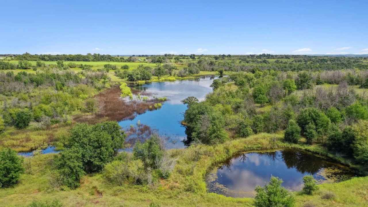 TBD County Road 300 Gorman Texas 76454 Hunting Land for Sale