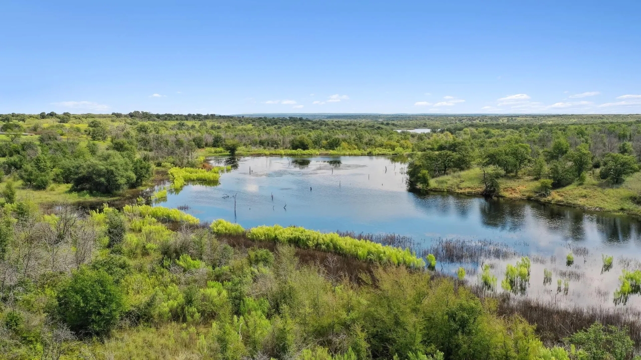 TBD County Road 300 Gorman Texas 76454 Hunting Land for Sale