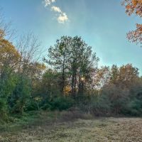 628 Acres Maya 1004 Tract 4