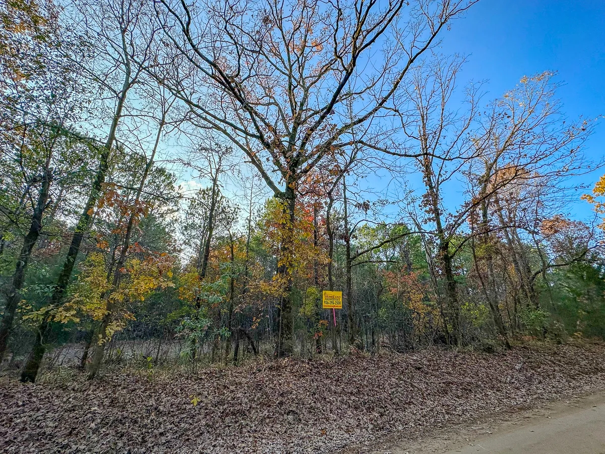 628 Acres Maya 1004 Tract 4 Hunting Land for Sale HuntingLocator