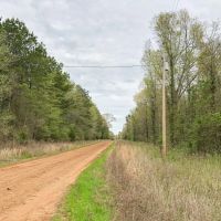 628 Acres Maya 1004 Tract 4 images 5