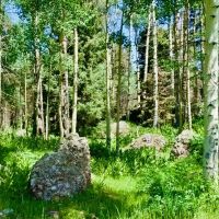 Ace High Ranch - High Country Tract images 5