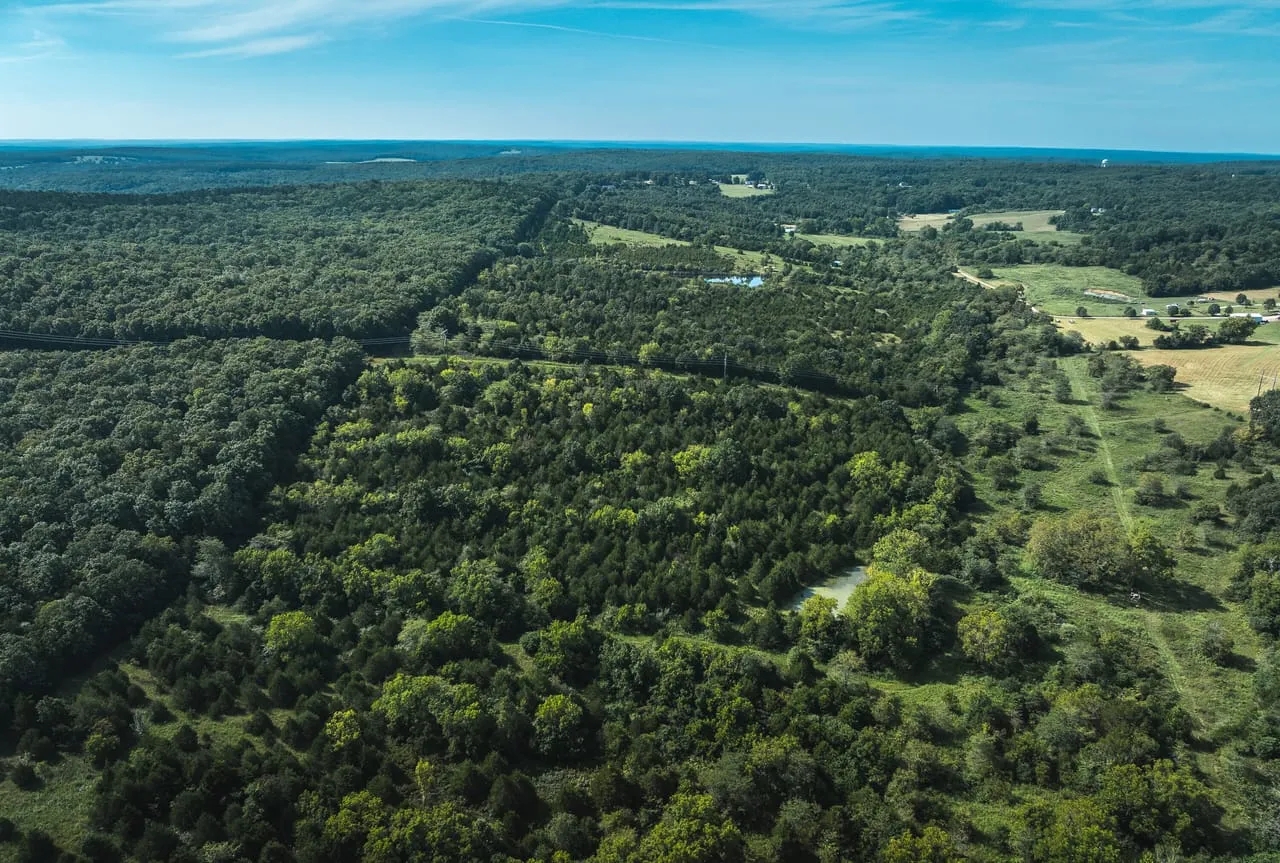 Hidden Gem 60 Hunting Land for Sale