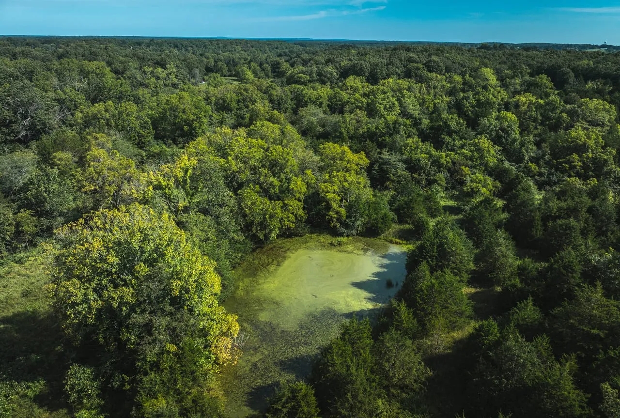 Hidden Gem 60 Hunting Land for Sale