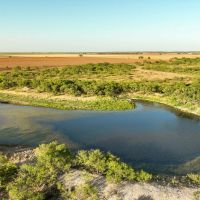 600 Acres in Baylor County