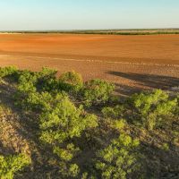 600 Acres in Baylor County images 2