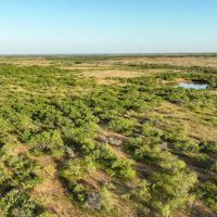 600 Acres in Baylor County images 4