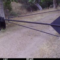 South Sierra Hunting Lease